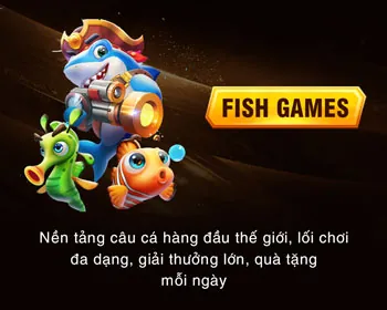 Email liên hệ